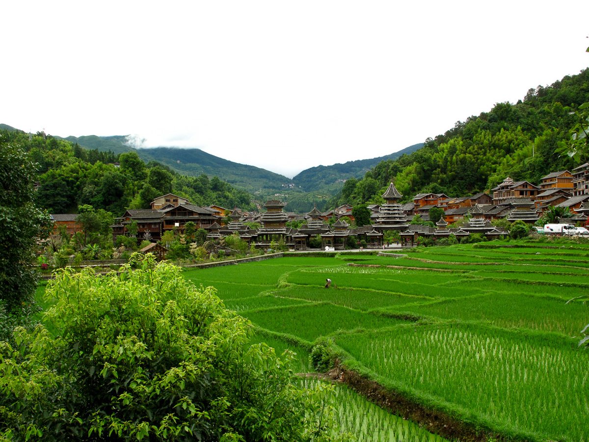 Zhaoxing Dong village and rice fields representing more regions of China